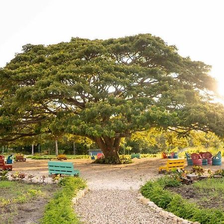 Vila Hacienda La Huerta, Puerto Plata Exteriér fotografie