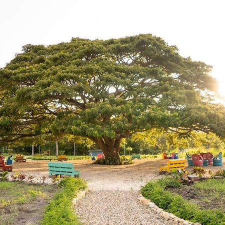 Vila Hacienda La Huerta, Puerto Plata Exteriér fotografie