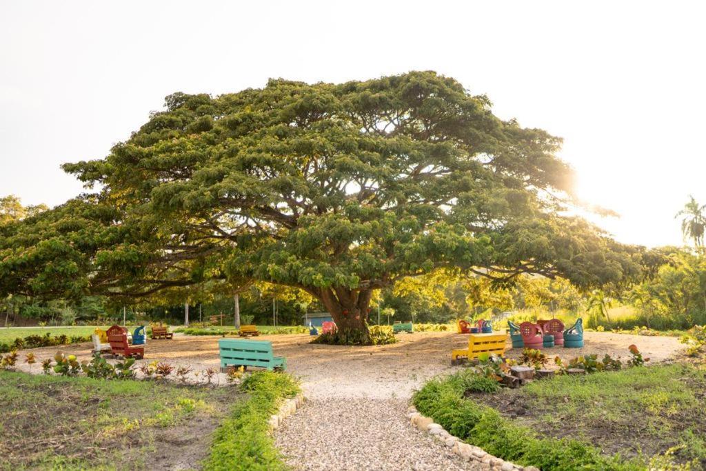 Vila Hacienda La Huerta, Puerto Plata Exteriér fotografie
